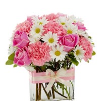 Портфолио Georgia	Harmon